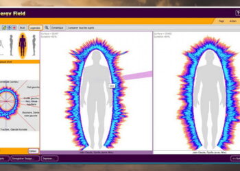 Aura Tahiti. Diagnostic de l’Aura et des Chakras